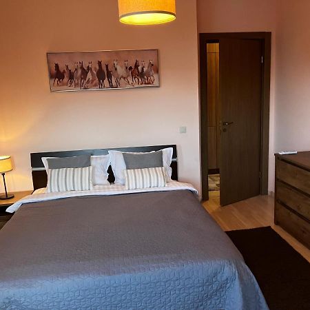 Mirabell Apartment Bansko - Mountain View & Fireplace エクステリア 写真