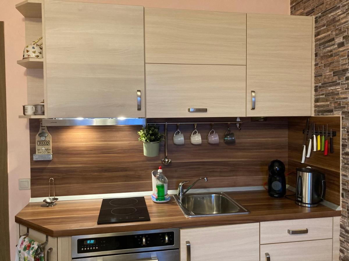 Mirabell Apartment Bansko - Mountain View & Fireplace エクステリア 写真