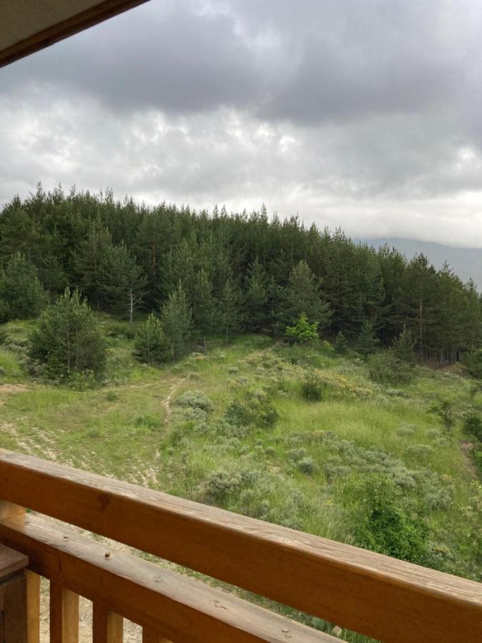Mirabell Apartment Bansko - Mountain View & Fireplace エクステリア 写真