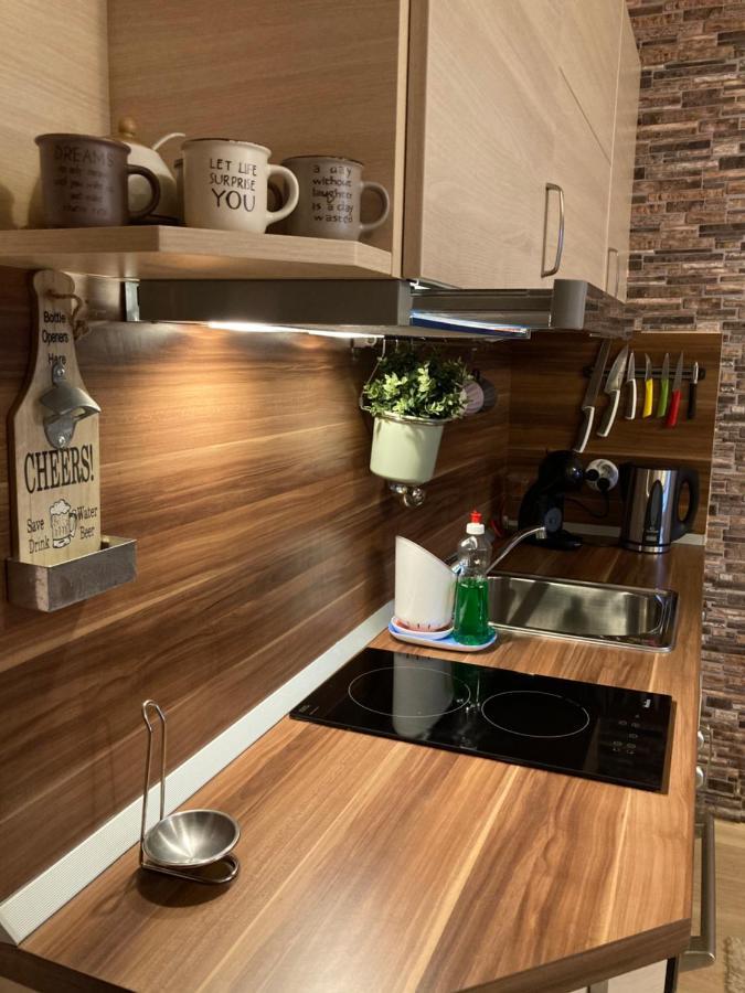 Mirabell Apartment Bansko - Mountain View & Fireplace エクステリア 写真