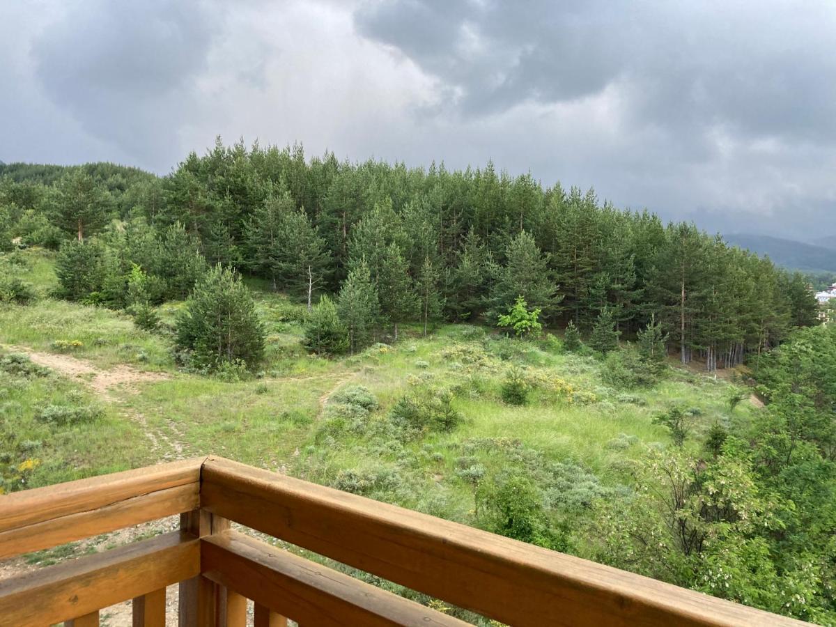 Mirabell Apartment Bansko - Mountain View & Fireplace エクステリア 写真