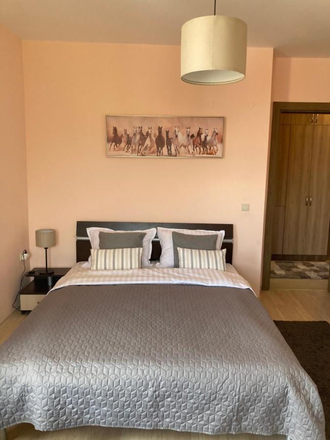 Mirabell Apartment Bansko - Mountain View & Fireplace エクステリア 写真
