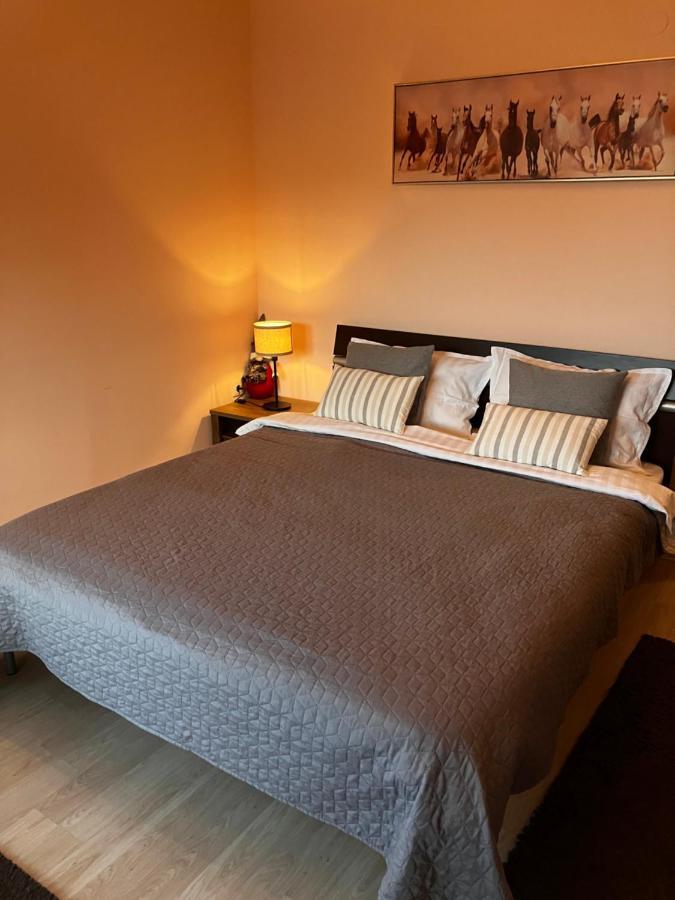 Mirabell Apartment Bansko - Mountain View & Fireplace エクステリア 写真