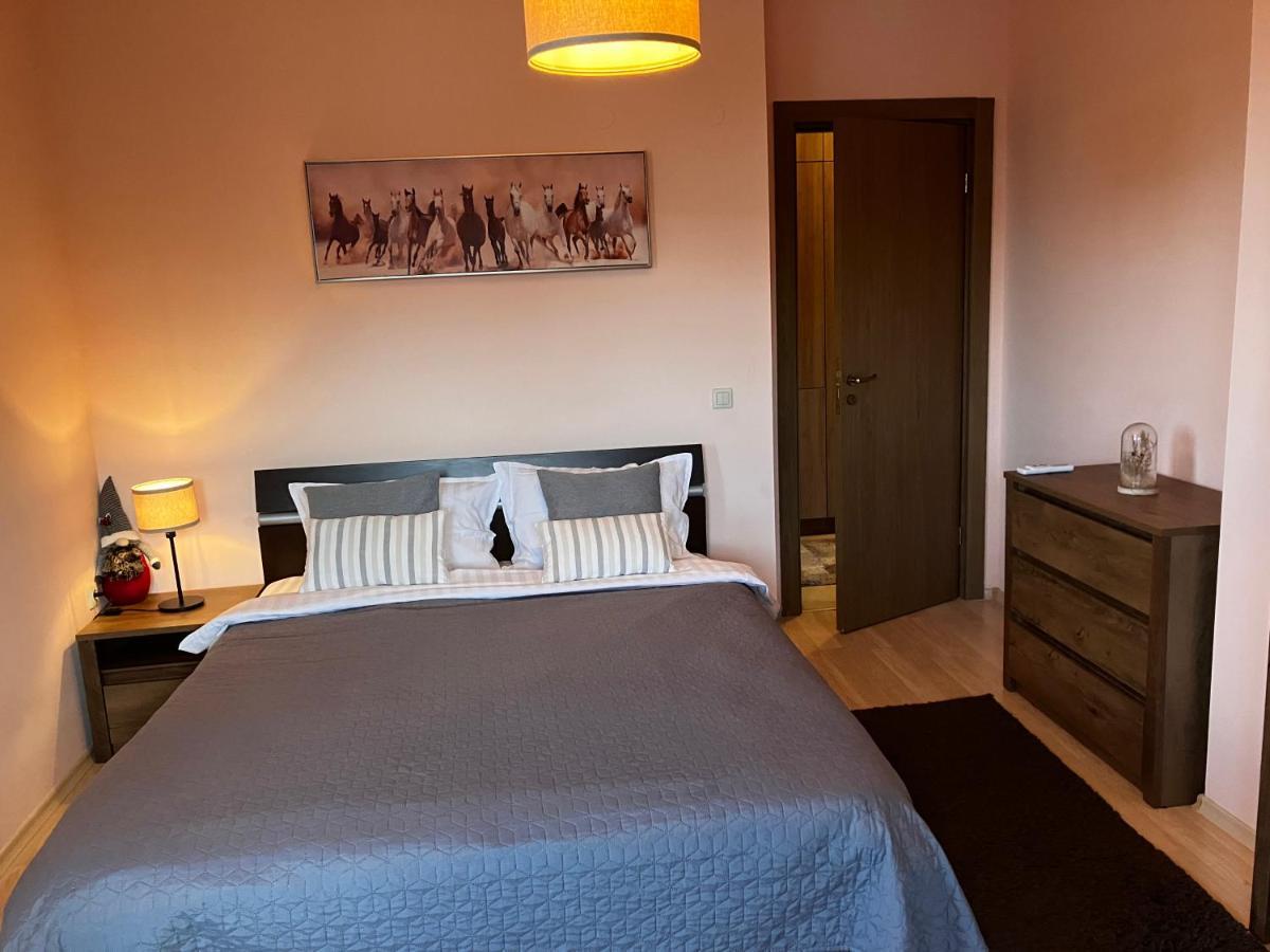 Mirabell Apartment Bansko - Mountain View & Fireplace エクステリア 写真
